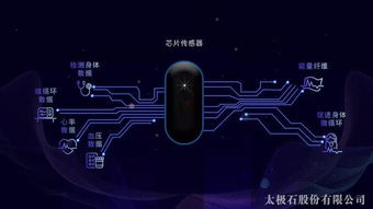 太極石纖維與智能科技融合，開啟品牌升級(jí)新篇章